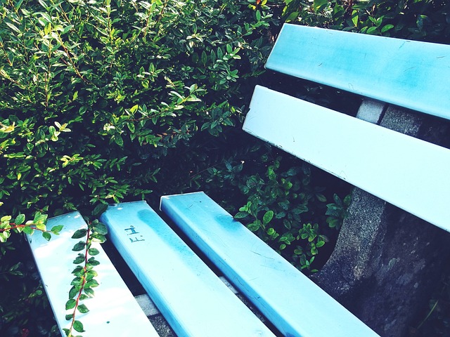 为赛事增添 为赛事增添